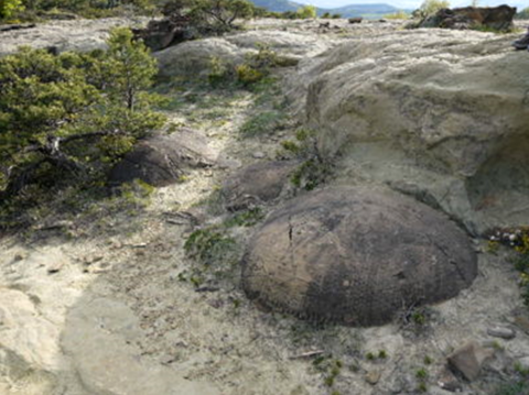 Boules St André de Rosans r