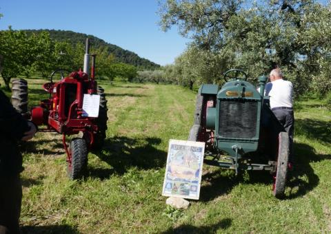 Vieux tracteurs